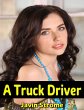 A Truck Driver (eBook, ePUB) - Bild 1