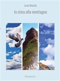 In cima alla montagna (eBook, ePUB)