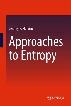 Approaches to Entropy (eBook, PDF) - Tame, Jeremy R. H.