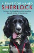 Sherlock: The Fire Brigade Dog - Bild 1