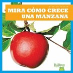 Mira Como Crece Una Manzana (Watch an Apple Grow)