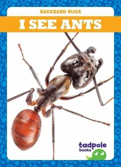 I See Ants - Nilsen, Genevieve