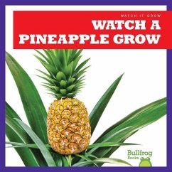 Watch a Pineapple Grow - Chang, Kirsten