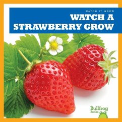 Watch a Strawberry Grow - Chang, Kirsten