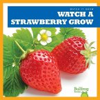 Watch a Strawberry Grow