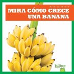 Mira Como Crece Una Banana (Watch a Banana Grow)