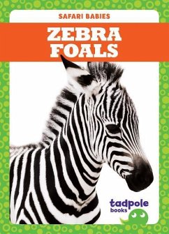 Zebra Foals - Nilsen, Genevieve