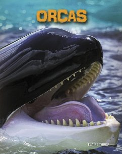 Cover Orcas (eBook, PDF)