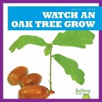 Watch an Oak Tree Grow