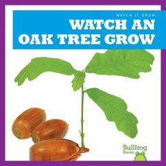 Watch an Oak Tree Grow - Chang, Kirsten