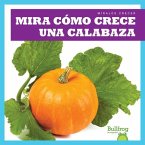 Mira Como Crece Una Calabaza (Watch a Pumpkin Grow)