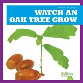 Watch an Oak Tree Grow