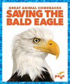Saving the Bald Eagle