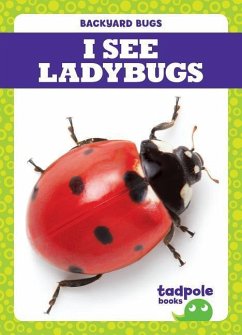 I See Ladybugs - Nilsen, Genevieve