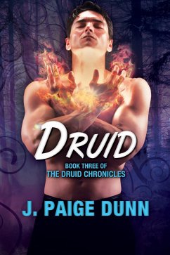Druid: Book Three of the Druid Chronicles (eBook, ePUB) - Dunn, J.