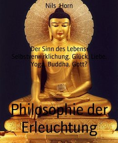 Philosophie der Erleuchtung (eBook, ePUB) - Horn, Nils