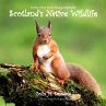 Draw Your Own Encyclopaedia Scotland's... - Bild 1