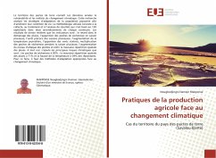 Pratiques de la production agricole face au changement climatique - Makponse, Nougbodjingni Damien