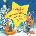 Erzähl mir vom Weihnachtszauber (MP3-Download)