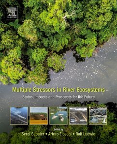Cover Multiple Stressors in River Ecosystems (eBook, ePUB)