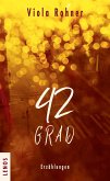 42 Grad (eBook, ePUB)