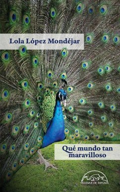 Qué mundo tan maravilloso (eBook, ePUB) - López Mondéjar, Lola