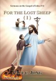 Sermons on the Gospel of John(VI) - For The Lost Sheep(I) (eBook, ePUB)