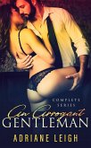 An Arrogant Gentleman: The Series (eBook, ePUB)