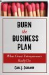 Burn The Business Plan - Bild 1