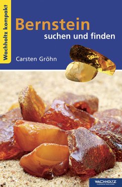 Bernstein suchen und finden KOMPAKT (eBook, ePUB) - Gröhn, Carsten