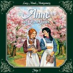 Anne auf Green Gables, Folge 3: Jede Menge Missgeschicke (MP3-Download)