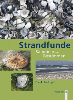 Strandfunde (eBook, ePUB) - Rudolph, Frank