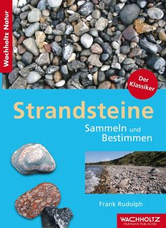 Strandsteine (eBook, ePUB) - Rudolph, Frank