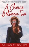 A Choice Between Two (Polyamorous Passions, #1) (eBook, ePUB)