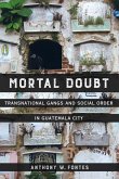 Mortal Doubt (eBook, ePUB)