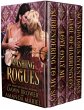 Dashing Rogues (eBook, ePUB) - Bild 1