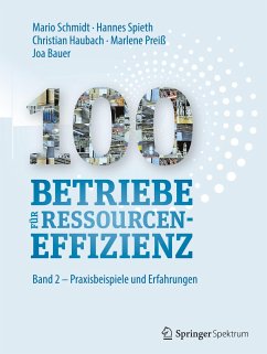 100 Betriebe für Ressourceneffizienz - Schmidt, Mario;Spieth, Hannes;Haubach, Christian