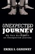 Unexpected Journey - Bild 1