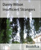 Insufficient Strangers (eBook, ePUB)