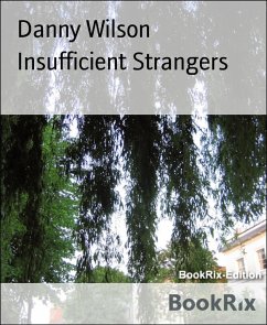 Cover Insufficient Strangers (eBook, ePUB)