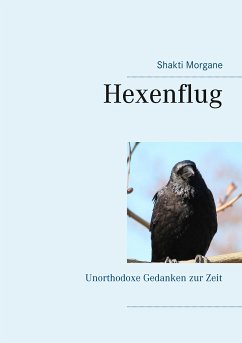 Hexenflug (eBook, ePUB)