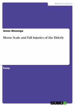 Morse Scale and Fall Injuries of the Elderly (eBook, PDF)