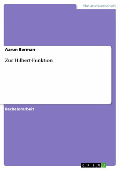 Zur Hilbert-Funktion (eBook, PDF)