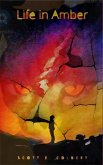 Life in Amber (eBook, ePUB)