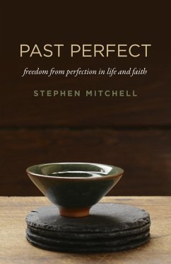 Cover Past Perfect (eBook, ePUB)