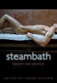 Steam Bath (eBook, ePUB)