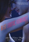 Best Erotic Romance 2013 (eBook, ePUB)