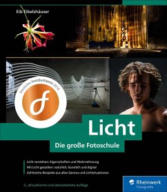 Licht. Die große Fotoschule (eBook, PDF) - Eibelshäuser, Eib