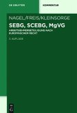 SEBG, SCEBG, MgVG (eBook, PDF)