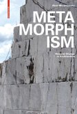 Metamorphism (eBook, PDF)
